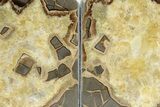 Beautiful Septarian Geode Bookends - Utah #241990-1